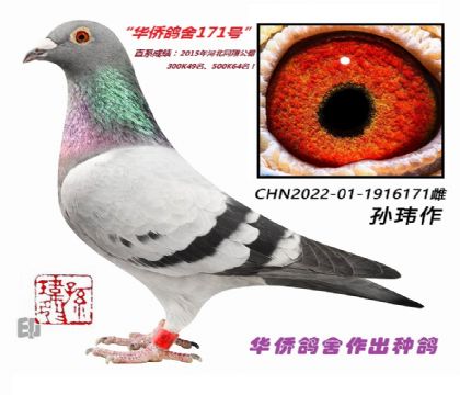 10��--ֱϵ�ɼ�:15��ӱ�ͬ�蹫�� 300K49��