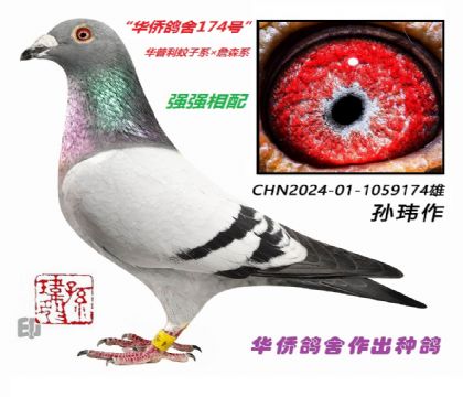 2��--����������ϵ��ղɭϵ-1059174-��