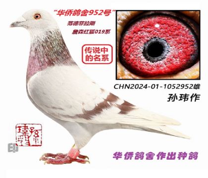 4��--ղɭ���019ϵ-1052952-��