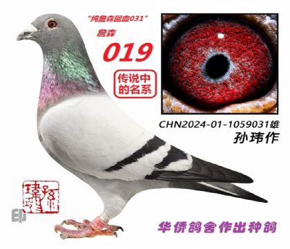 6��--��ղɭ��Ѫ�ָ�-1059031-��