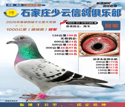 石家庄少云千公里冠军