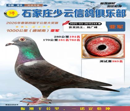 石家庄少云千公里亚军