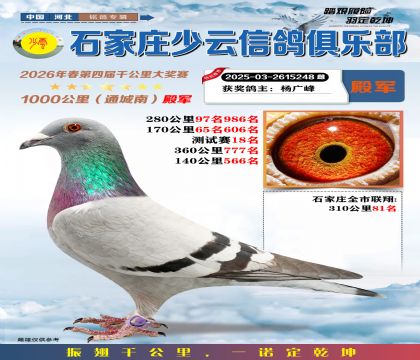 石家庄少云千公里4名