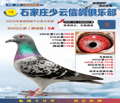 石家庄少云千公里5名