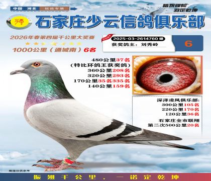 石家庄少云千公里6名