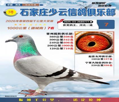 石家庄少云千公里7名