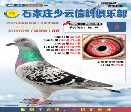 石家庄少云千公里8名