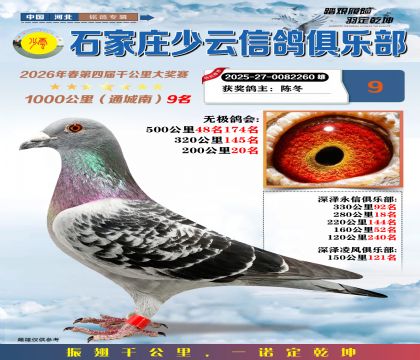 石家庄少云千公里9名