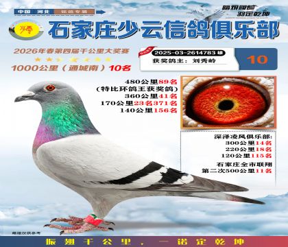 石家庄少云千公里10名