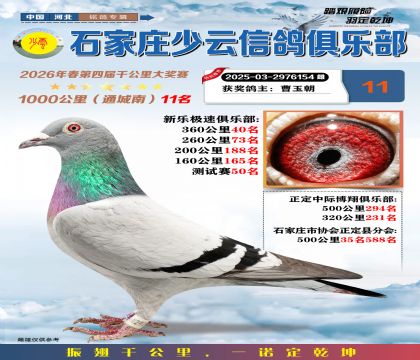 石家庄少云千公里11名