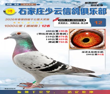 石家庄少云千公里12名