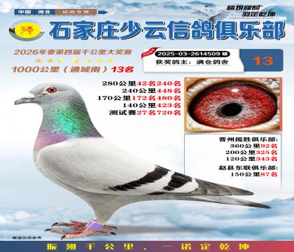 石家庄少云千公里13名