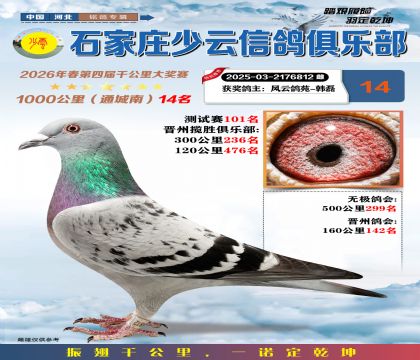 石家庄少云千公里14名