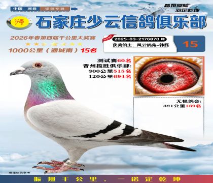 石家庄少云千公里15名