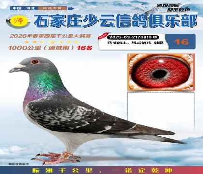 石家庄少云千公里16名