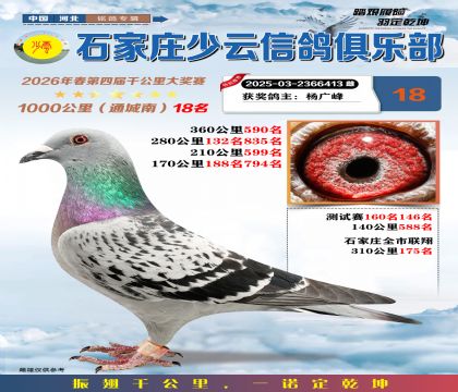 石家庄少云千公里18名