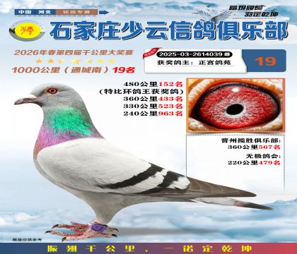 石家庄少云千公里19名