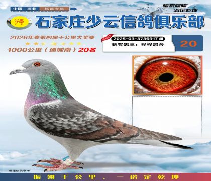 石家庄少云千公里20名