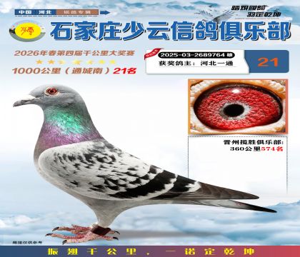 石家庄少云千公里21名