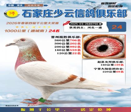 石家庄少云千公里24名