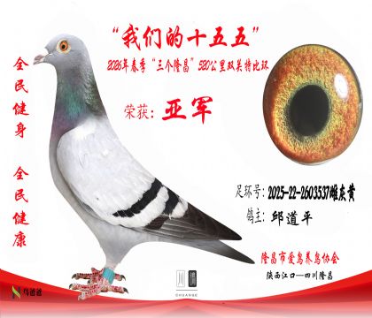 2�����ƽ2025-22-2603537�ƻһ�