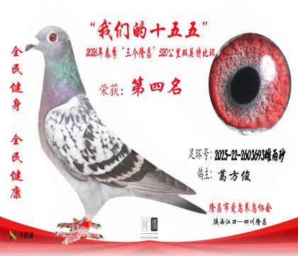 4���𷽿�2025-22-2603693����ɰ