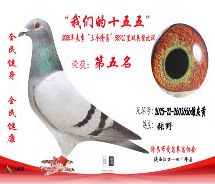 5����Ұ2025-22-2603656�ۻһ�