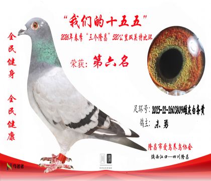 6��δ��2025-22-2603809�ƻҰ�����