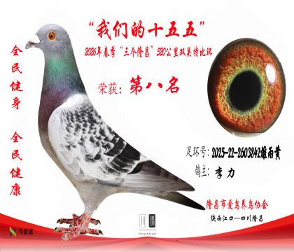 8������2025-22-2603842�����