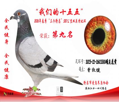 9�����ؽ�2025-22-2603588�ƻһ���