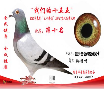 10��������2025-22-2603546�ƻһ�