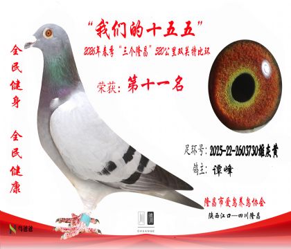 11��̷��2025-22-2603730�ۻһ�