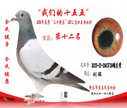 12������2025-22-2603738�ƻһ�