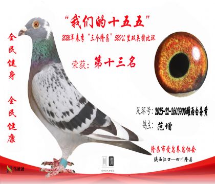 13������2025-22-2603900���������