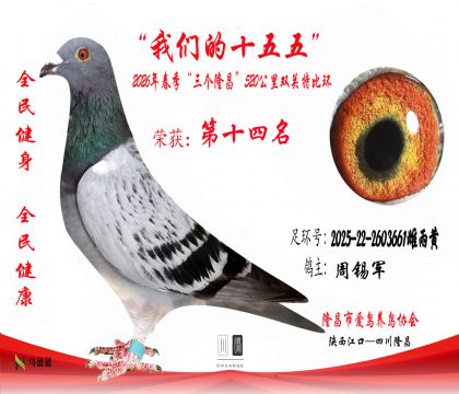 14��������2025-22-2603661������