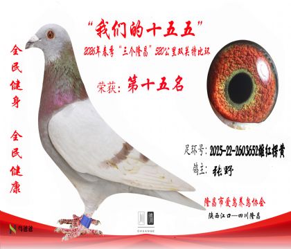 15����Ұ2025-22-2603652�ۺ����