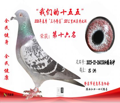 16������2025-22-2603564����ɰ