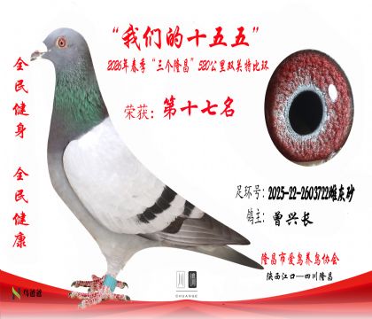 17�����˳�2025-22-2603722�ƻ�ɰ