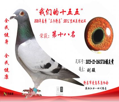 18������2025-22-2603736�ۻһ�