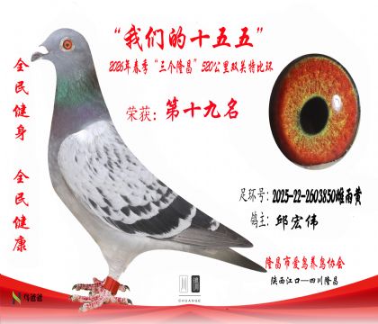 19�����ΰ2025-22-2603850������