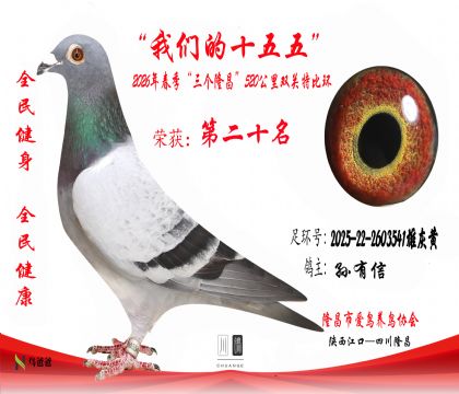 20��������2025-22-2603541�ۻһ�