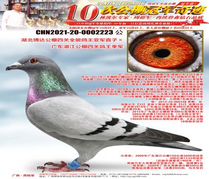 �������﹫���Ĺ�ȫ�ܸ����Ǿ�ֱ�ӡ��㶫տ�������Ĺظ�������