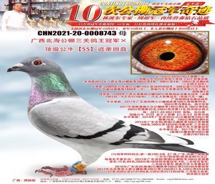 ���������������ظ����ھ���������ţ��55�����׻�Ѫ