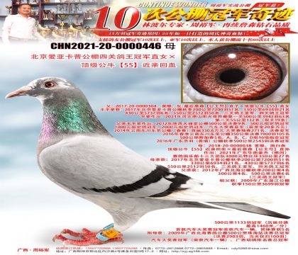 �������ǿ��չ����Ĺظ����ھ�ֱŮ��������ţ��55�����׻�Ѫ