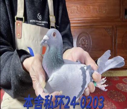 ����ƥ��003ֱ��x��ֱ��0203