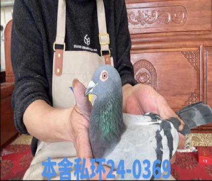 С������ֱ��x����С��098ֱ��Ů0369