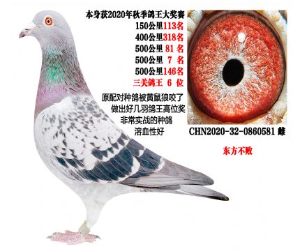 ���ص㣩500����7�������ظ���6��