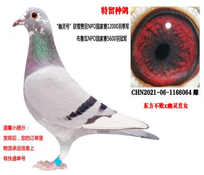 �����ָ루��������x�����ֱŮ��