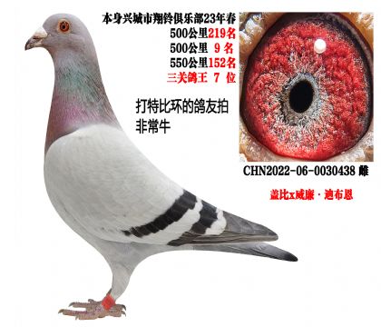 500����9�������ظ���7�������رȻ������ģ�