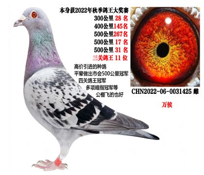 500����17����31�������ظ���11λ���رȻ���λ���壩